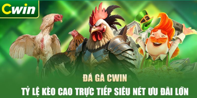 Đá gà Cwin là trò chơi cá cược dân gian hấp dẫn