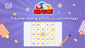 bingo-la-gi-tim-hieu-ve-lich-su-va-cach-choi-bingo-co-ban